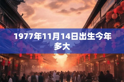 1977年11月14日出生今年多大