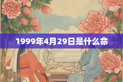 1999年4月29日是什么命