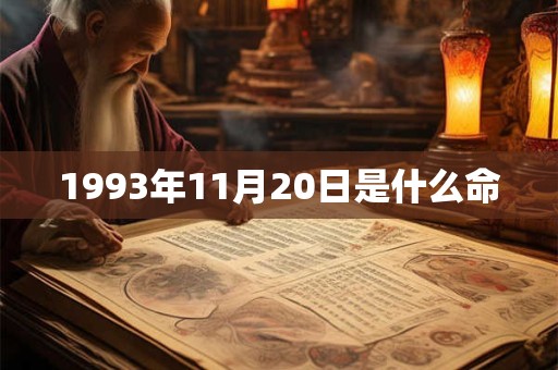 1993年11月20日是什么命