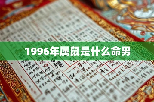 1996年属鼠是什么命男