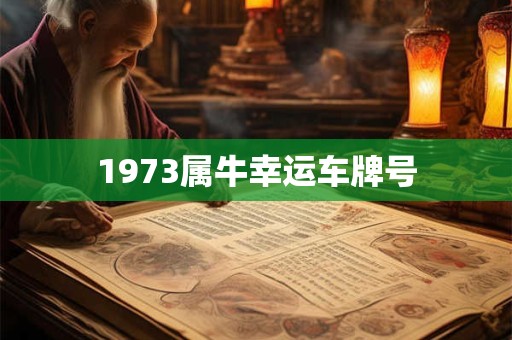 1973属牛幸运车牌号