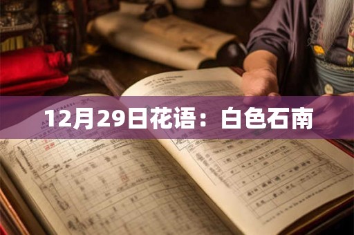 12月29日花语：白色石南