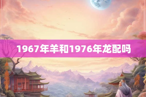1967年羊和1976年龙配吗