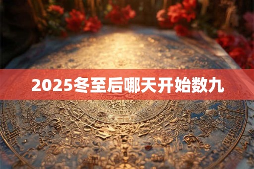 2025冬至后哪天开始数九