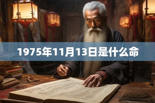 1975年11月13日是什么命