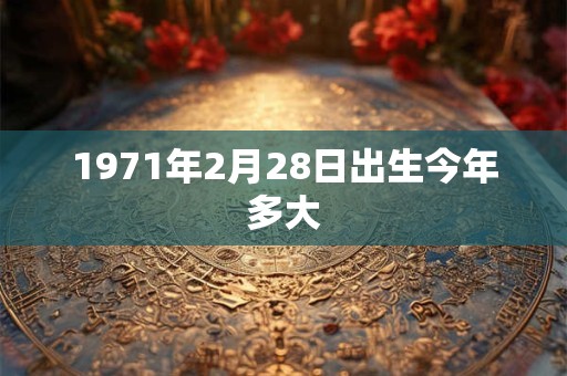 1971年2月28日出生今年多大