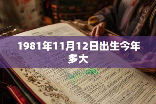 1981年11月12日出生今年多大