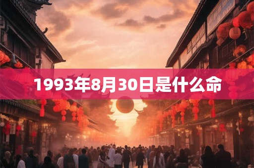 1993年8月30日是什么命