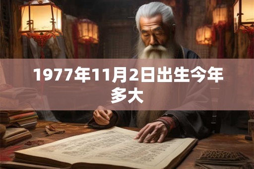 1977年11月2日出生今年多大