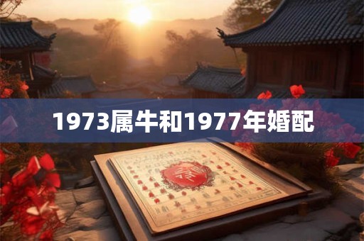 1973属牛和1977年婚配