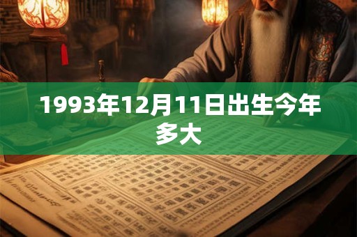 1993年12月11日出生今年多大