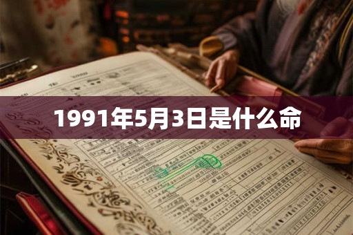 1991年5月3日是什么命