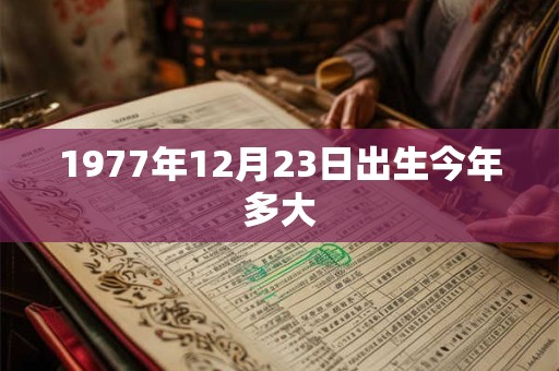 1977年12月23日出生今年多大