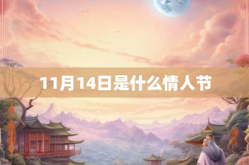 11月14日是什么情人节