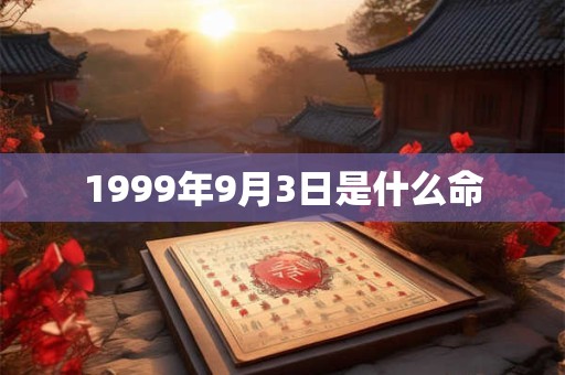 1999年9月3日是什么命