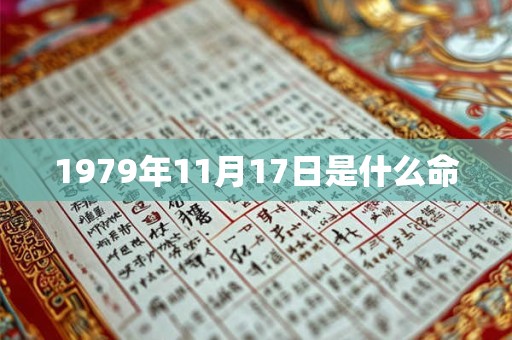1979年11月17日是什么命 1979年11月17日是什么命