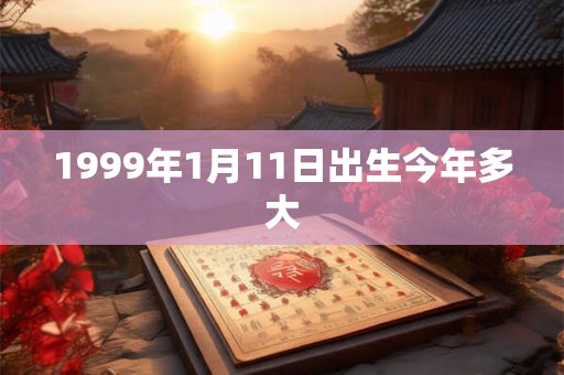 1999年1月11日出生今年多大