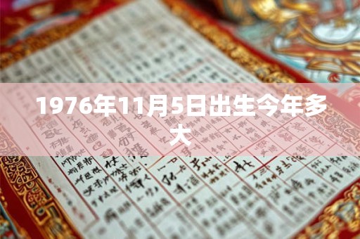 1976年11月5日出生今年多大