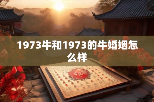 1973牛和1973的牛婚姻怎么样