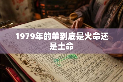 1979年的羊到底是火命还是土命