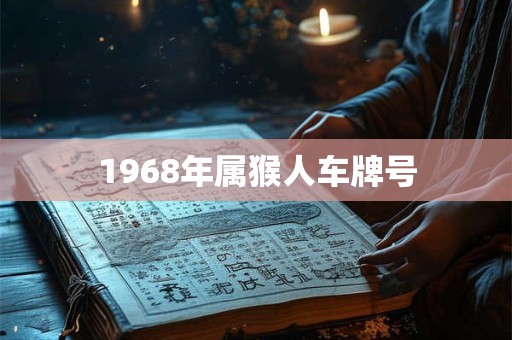 1968年属猴人车牌号