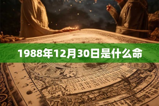 1988年12月30日是什么命