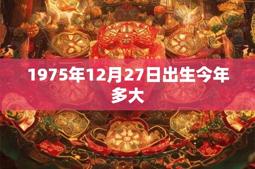 1975年12月27日出生今年多大