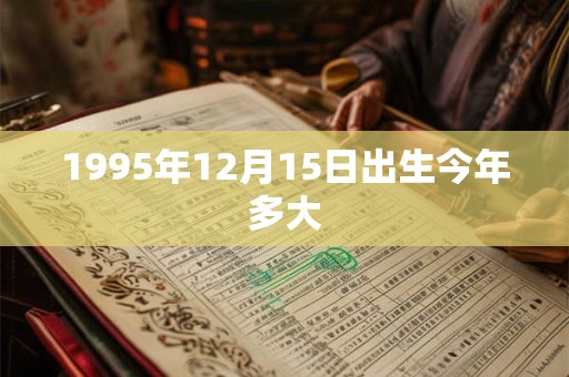 1995年12月15日出生今年多大