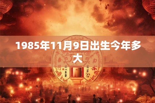 1985年11月9日出生今年多大