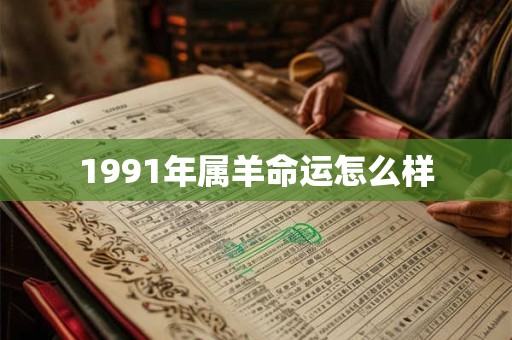1991年属羊命运怎么样