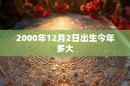 2000年12月2日出生今年多大