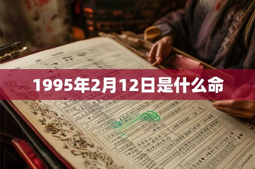 1995年2月12日是什么命