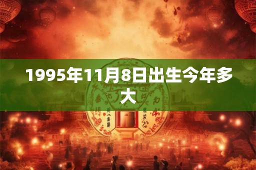 1995年11月8日出生今年多大