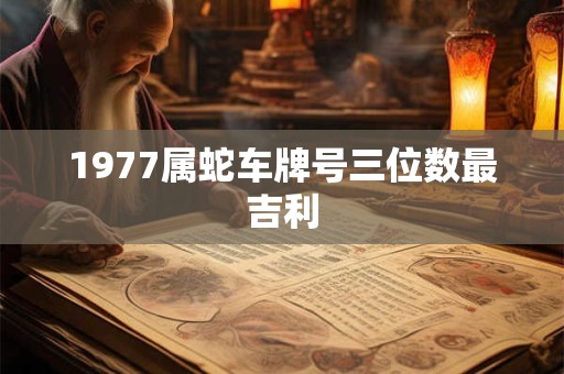 1977属蛇车牌号三位数最吉利