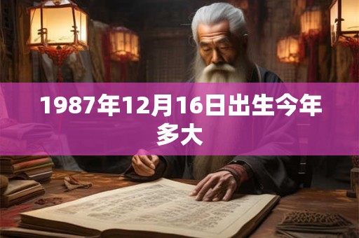 1987年12月16日出生今年多大