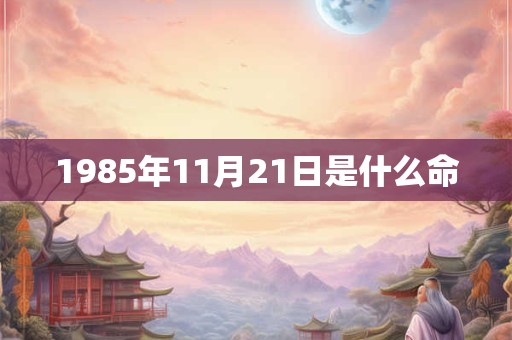 1985年11月21日是什么命
