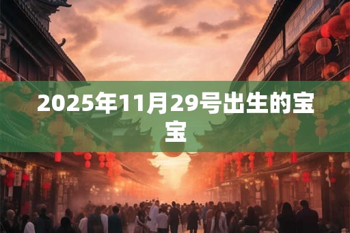 2025年11月29号出生的宝宝