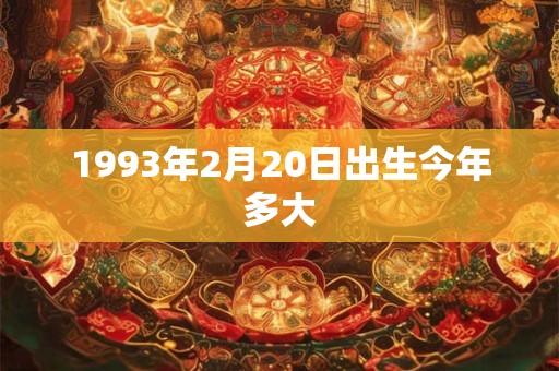 1993年2月20日出生今年多大