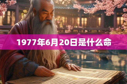 1977年6月20日是什么命