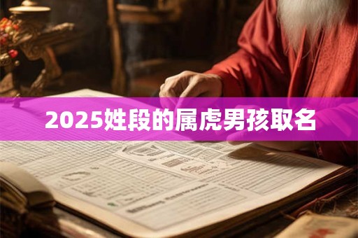 2025姓段的属虎男孩取名