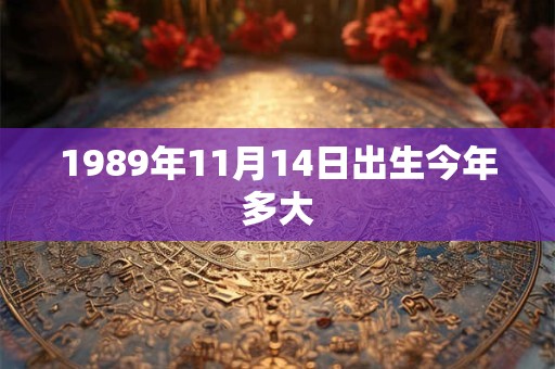 1989年11月14日出生今年多大