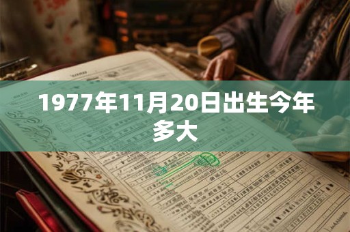 1977年11月20日出生今年多大