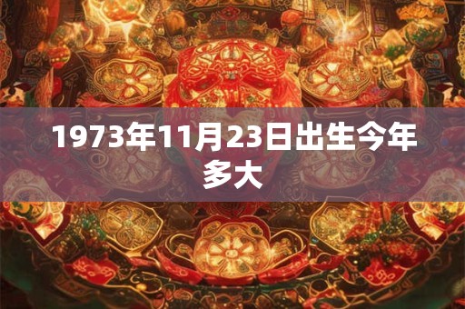 1973年11月23日出生今年多大