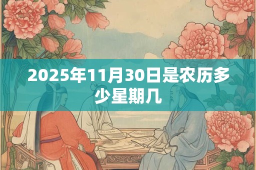 2025年11月30日是农历多少星期几