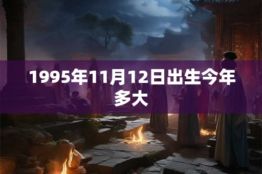 1995年11月12日出生今年多大