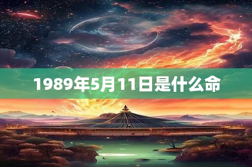 1989年5月11日是什么命