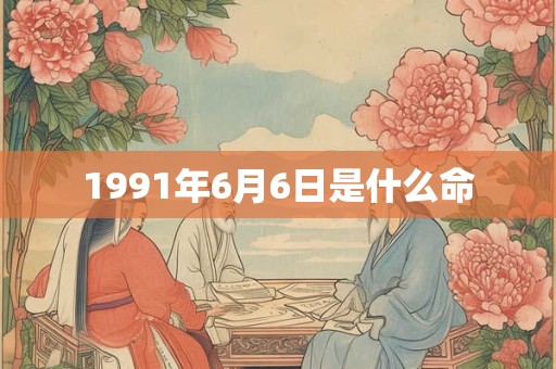 1991年6月6日是什么命