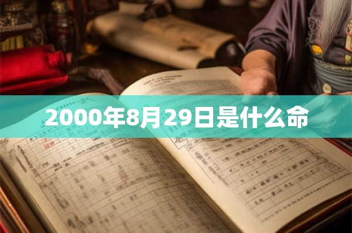2000年8月29日是什么命