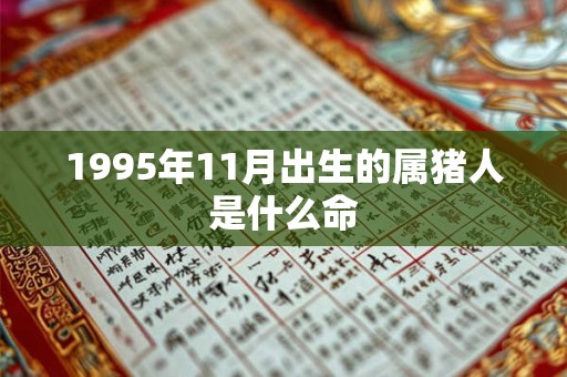 1995年11月出生的属猪人是什么命