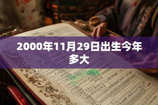 2000年11月29日出生今年多大